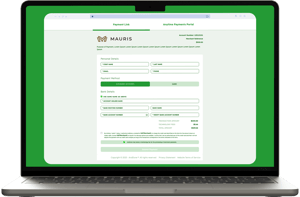 A screenshot of the primary view of a branded Payment Link page. The background is light green with a dark green accent color and font.
